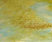 August 2004 The Journal of Light Construction - Cast-in-Place Concrete Counters