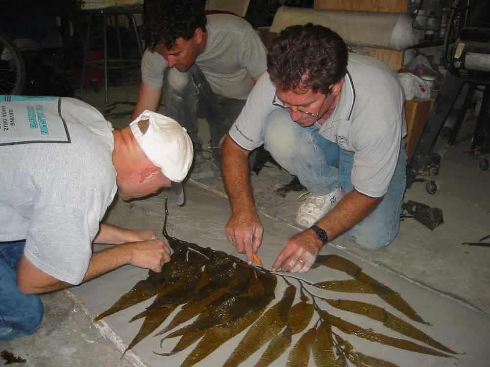Seaweed molds, decorative concrete, interior floor